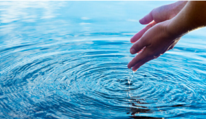 AcquamArIna: Innovation and Sustainability in Maritime Wastewater Management